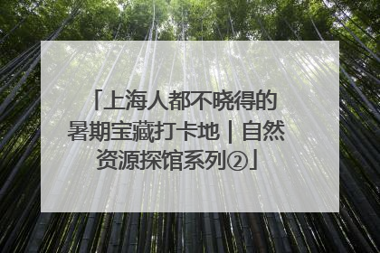 上海人都不晓得的 暑期宝藏打卡地｜自然资源探馆系列②