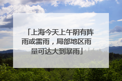 上海今天上午阴有阵雨或雷雨，局部地区雨量可达大到暴雨
