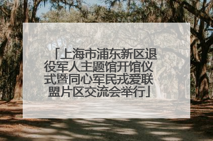 上海市浦东新区退役军人主题馆开馆仪式暨同心军民戎爱联盟片区交流会举行