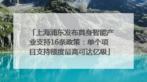 上海浦东发布具身智能产业支持16条政策：单个项目支持额度最高可达亿级