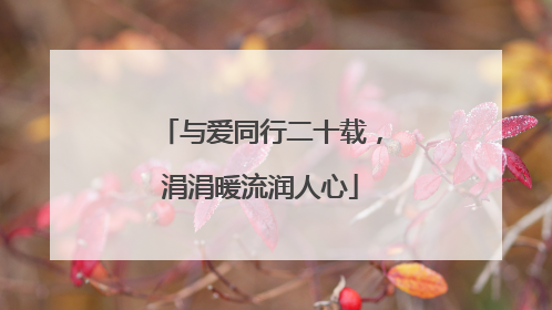 与爱同行二十载，涓涓暖流润人心