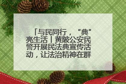与民同行，“典”亮生活丨黄陂公安民警开展民法典宣传活动，让法治精神在群众心中落地生根