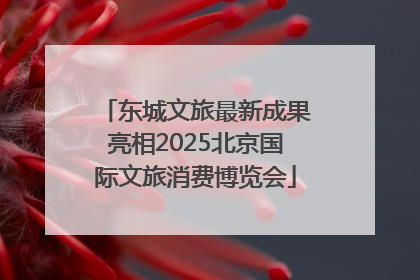 东城文旅最新成果亮相2025北京国际文旅消费博览会