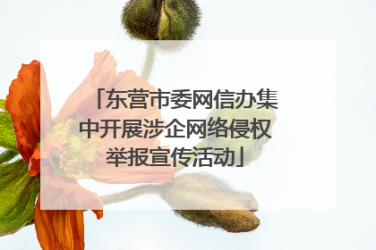东营市委网信办集中开展涉企网络侵权举报宣传活动
