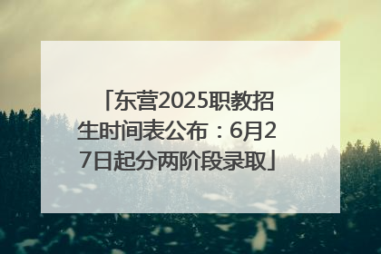 东营2025职教招生时间表公布：6月27日起分两阶段录取