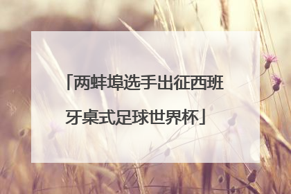 两蚌埠选手出征西班牙桌式足球世界杯