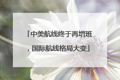 中美航线终于再增班，国际航线格局大变