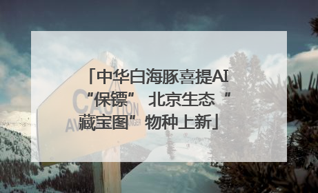 中华白海豚喜提AI“保镖” 北京生态“藏宝图”物种上新