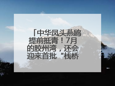中华凤头燕鸥提前抵青！7月的胶州湾，还会迎来首批“栈桥同款”红嘴鸥