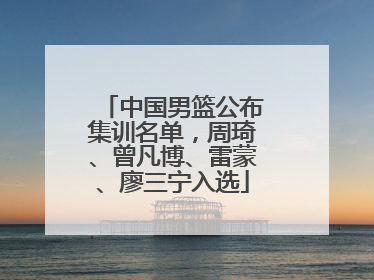 中国男篮公布集训名单，周琦、曾凡博、雷蒙、廖三宁入选
