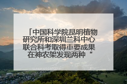 中国科学院昆明植物研究所和深圳兰科中心联合科考取得重要成果 在神农架发现两种“国保”级兰花
