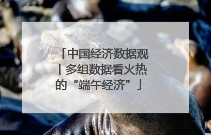 中国经济数据观丨多组数据看火热的“端午经济”
