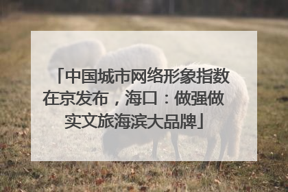 中国城市网络形象指数在京发布，海口：做强做实文旅海滨大品牌