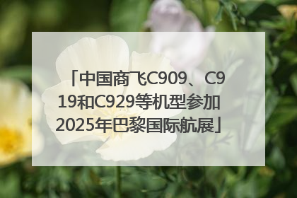 中国商飞C909、C919和C929等机型参加2025年巴黎国际航展