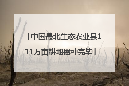 中国最北生态农业县111万亩耕地播种完毕
