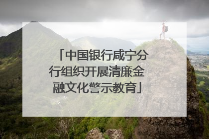中国银行咸宁分行组织开展清廉金融文化警示教育