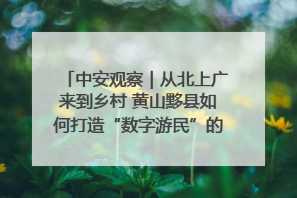 中安观察｜从北上广来到乡村 黄山黟县如何打造“数字游民”的“桃花源”？