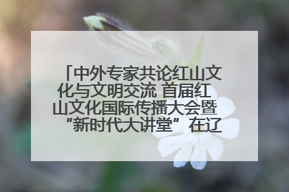 中外专家共论红山文化与文明交流 首届红山文化国际传播大会暨“新时代大讲堂”在辽宁朝阳举办