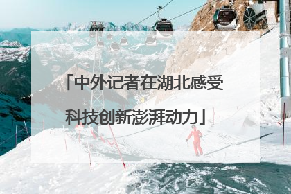 中外记者在湖北感受科技创新澎湃动力