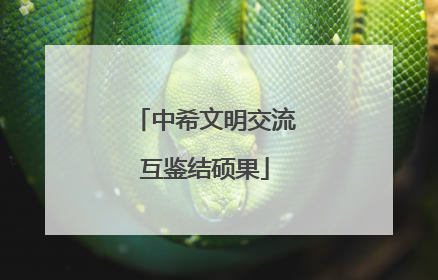 中希文明交流互鉴结硕果