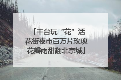 丰台玩“花”活 花街夜市百万片玫瑰花瓣雨甜翻北京城