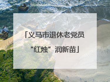 义马市退休老党员“红烛”润新苗