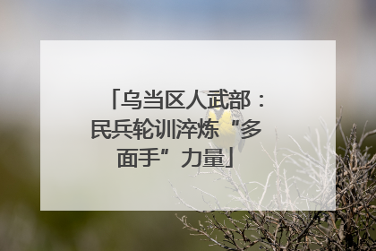 乌当区人武部：民兵轮训淬炼“多面手”力量
