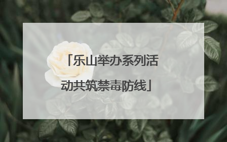 乐山举办系列活动共筑禁毒防线