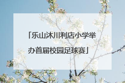 乐山沐川利店小学举办首届校园足球赛