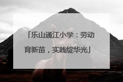 乐山通江小学：劳动育新苗，实践绽华光