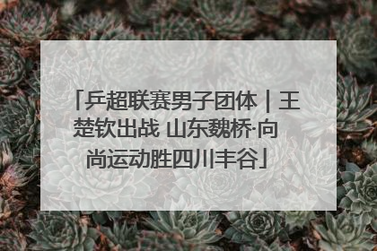 乒超联赛男子团体｜王楚钦出战 山东魏桥·向尚运动胜四川丰谷