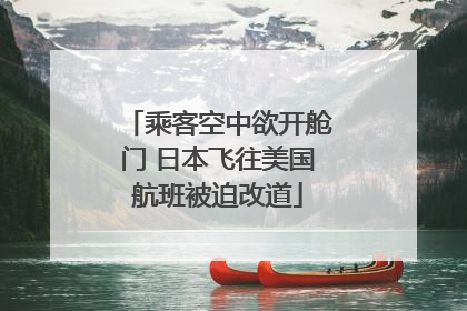 乘客空中欲开舱门 日本飞往美国航班被迫改道