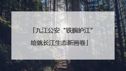九江公安“铁腕护江”绘就长江生态新画卷