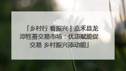 乡村行 看振兴｜嘉禾县龙潭牲畜交易市场：优惠赋能促交易 乡村振兴添动能