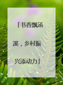 书香飘汤溪，乡村振兴添动力