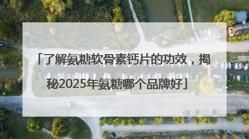 了解氨糖软骨素钙片的功效，揭秘2025年氨糖哪个品牌好