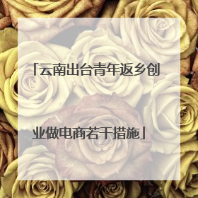云南出台青年返乡创业做电商若干措施