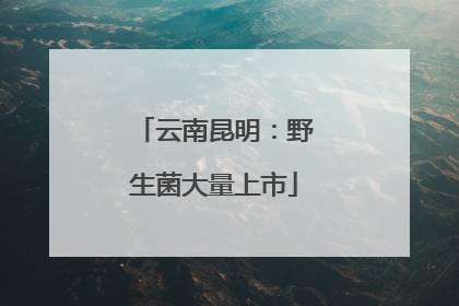 云南昆明：野生菌大量上市