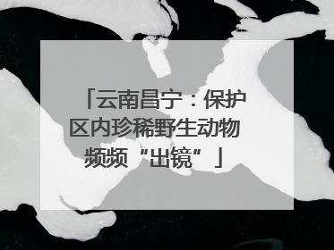云南昌宁：保护区内珍稀野生动物频频“出镜”