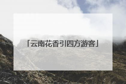 云南花香引四方游客