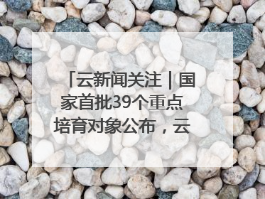 云新闻关注｜国家首批39个重点培育对象公布，云南有3个