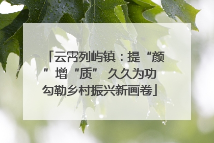 云霄列屿镇：提“颜”增“质” 久久为功勾勒乡村振兴新画卷