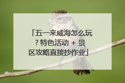五一来威海怎么玩？特色活动 + 景区攻略直接抄作业