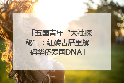 五国青年“大社探秘”：红砖古厝里解码华侨爱国DNA