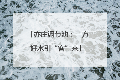 亦庄调节池：一方好水引“客”来