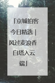 京城拍客今日精选｜风过麦浪香 白塔入云端