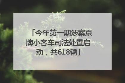 今年第一期涉案京牌小客车司法处置启动，共618辆
