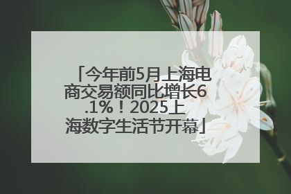 今年前5月上海电商交易额同比增长6.1%！2025上海数字生活节开幕