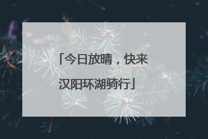 今日放晴，快来汉阳环湖骑行