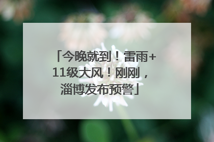 今晚就到！雷雨+11级大风！刚刚，淄博发布预警